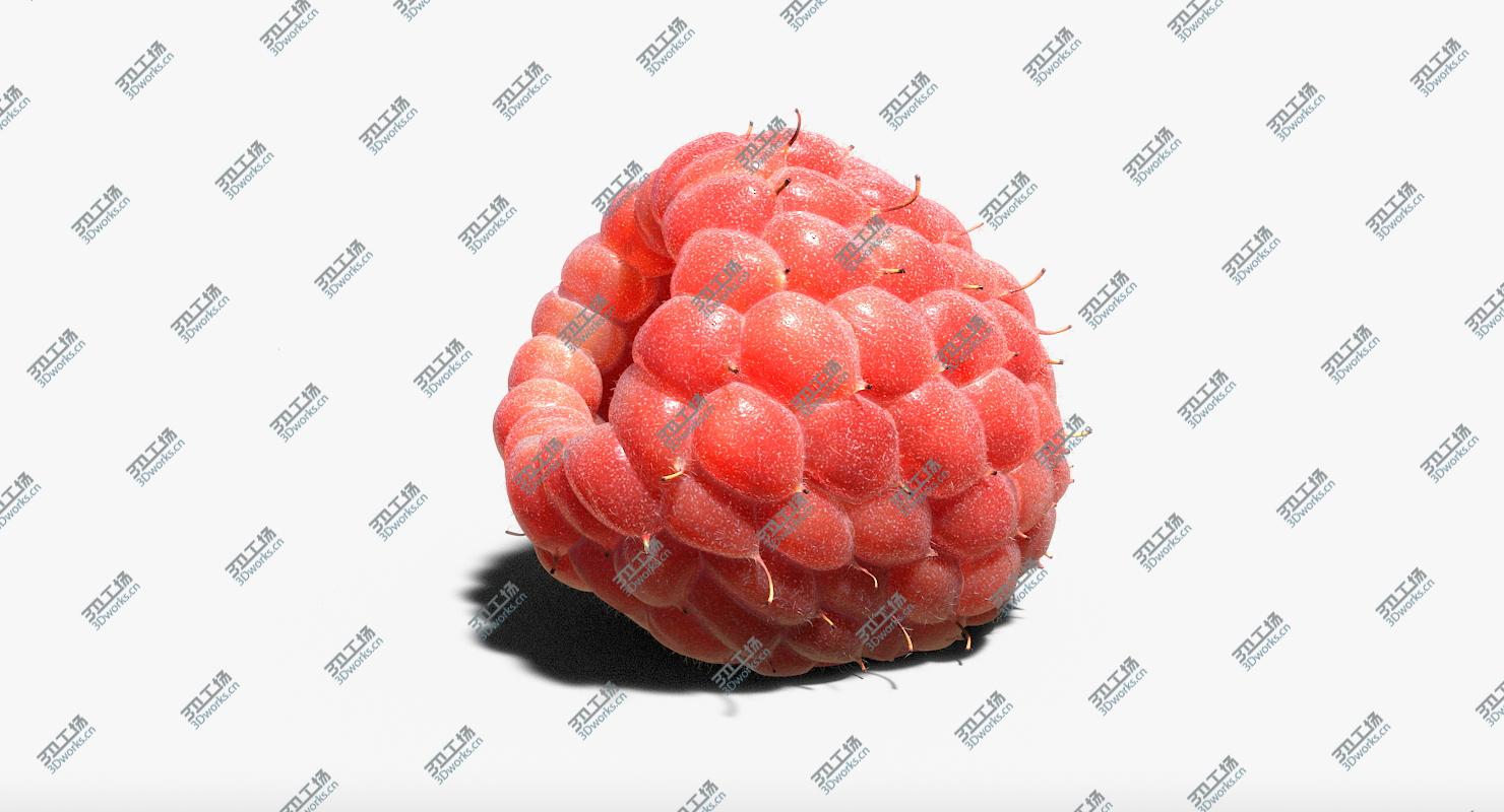 images/goods_img/2021040232/3D Raspberry (fur)/5.jpg